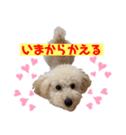 SUNNYのスタンプ2（個別スタンプ：3）
