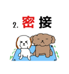 家の愛犬くぅシリーズ4 【コロナ禍編】（個別スタンプ：7）