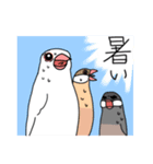 ラフな文鳥（個別スタンプ：9）