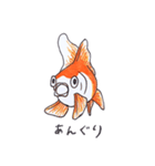 金魚のぺっぴ（個別スタンプ：17）