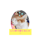 あにゃにゃん（個別スタンプ：3）