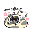 あにゃにゃん（個別スタンプ：4）
