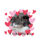 あにゃにゃん（個別スタンプ：8）
