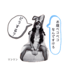 私の恋は蜃気楼（個別スタンプ：20）