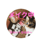 ラブねここ達（個別スタンプ：1）