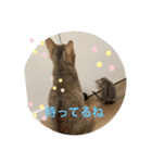 ラブねここ達（個別スタンプ：8）