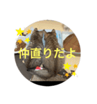 ラブねここ達（個別スタンプ：19）