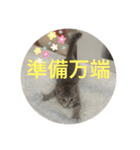 ラブねここ達（個別スタンプ：28）