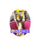くー＆りくのスタンプ（個別スタンプ：7）