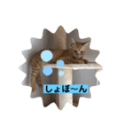 くー＆りくのスタンプ（個別スタンプ：8）