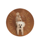 我家のdog②（個別スタンプ：5）