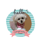我家のdog②（個別スタンプ：8）
