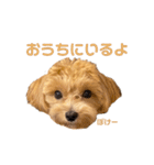 きなこもちver.3（個別スタンプ：4）