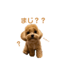 きなこもちver.3（個別スタンプ：14）