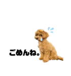 きなこもちver.3（個別スタンプ：19）