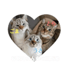 春日井家の住人（個別スタンプ：3）