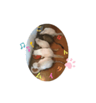 春日井家の住人（個別スタンプ：4）