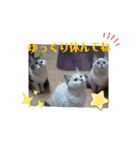 春日井家の住人（個別スタンプ：5）
