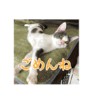レンミツの毎日暮らし（個別スタンプ：8）