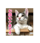 レンミツの毎日暮らし（個別スタンプ：9）
