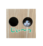レンミツの毎日暮らし（個別スタンプ：13）