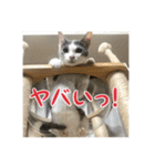 レンミツの毎日暮らし（個別スタンプ：14）