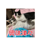 レンミツの毎日暮らし（個別スタンプ：19）