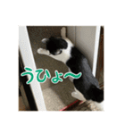 レンミツの毎日暮らし（個別スタンプ：22）