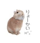 うさぎのだんごとおぐり。（個別スタンプ：7）