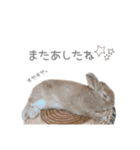 うさぎのだんごとおぐり。（個別スタンプ：34）