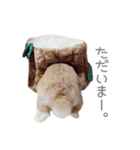 うさぎのだんごとおぐり。（個別スタンプ：38）