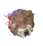 津軽弁犬（個別スタンプ：3）