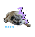 津軽弁犬（個別スタンプ：5）