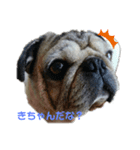 津軽弁犬（個別スタンプ：7）