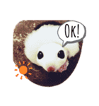 yumyum！（個別スタンプ：8）