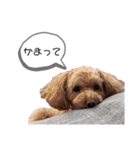 エブリデイまゆみちゃん vol.1（個別スタンプ：24）