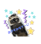 ポン子とボス（個別スタンプ：8）
