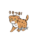 ベンガルヤマネコ-ちゃん！（個別スタンプ：2）