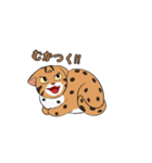 ベンガルヤマネコ-ちゃん！（個別スタンプ：5）