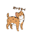 ベンガルヤマネコ-ちゃん！（個別スタンプ：7）