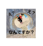 SAKUTOKUN0917（個別スタンプ：10）