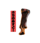 いかりんぐたこすけ（個別スタンプ：2）