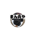 いかりんぐたこすけ（個別スタンプ：6）