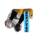 いかりんぐたこすけ（個別スタンプ：10）