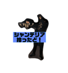 いかりんぐたこすけ（個別スタンプ：12）