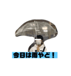 いかりんぐたこすけ（個別スタンプ：23）