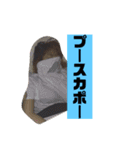いかりんぐたこすけ（個別スタンプ：25）