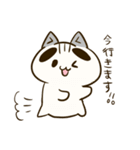 まゆぶとねこ（個別スタンプ：16）