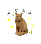 oli君好きのためのスタンプ（個別スタンプ：2）