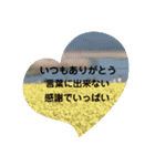 nozaminの名言スタンプ（個別スタンプ：14）